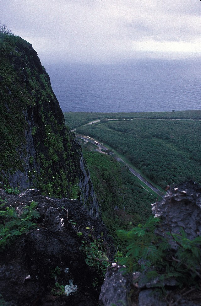 woman jumping off cliff