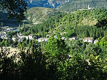 Bosque en la montaña ubac de Lure