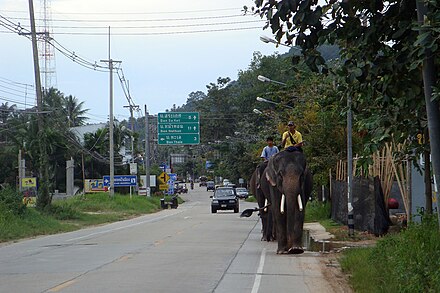 Part of the Samui Ring Road in the south of the island