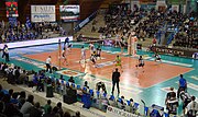 Miniatura Top Volley Cisterna