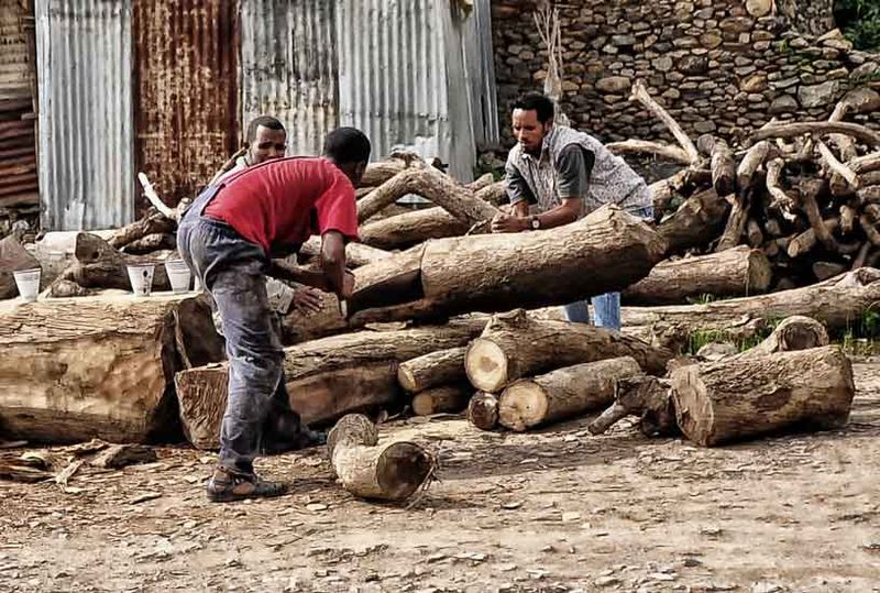 File:Sawing Logs, Aksum (8204532943).jpg