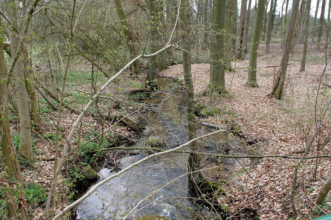 Schnegaer Mühlenbachtal