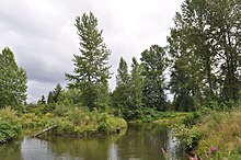 Meadowbrook Pond, July 2009