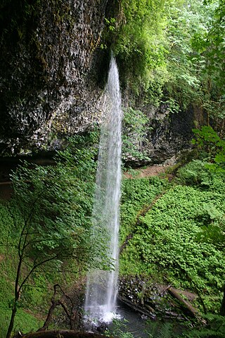 <span class="mw-page-title-main">Shellburg Falls</span> Waterfall in Oregon