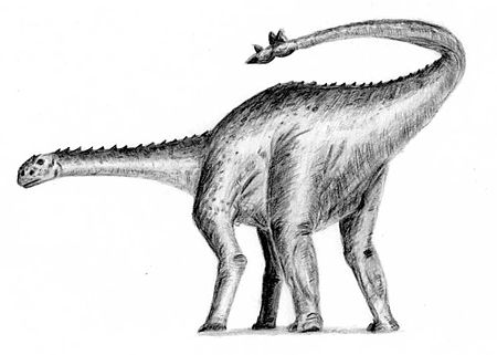 Shunosaurus