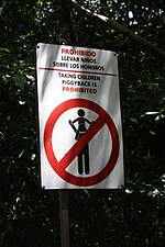 Миниатюра для Файл:Sign piggyback prohibited, prohibido llevar sobre hombros.JPG