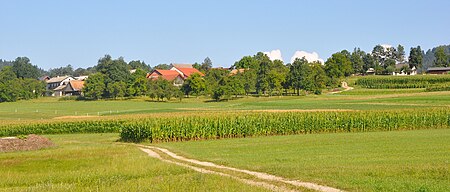 Slatnik Ribnica1