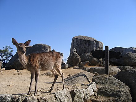 Out for a hike on Mt. Misen