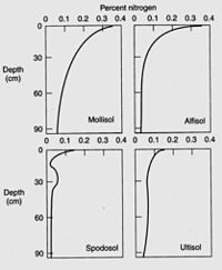 Generalization of percent soil nitrogen by soil order SoilNitrogen.jpg