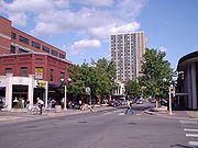 Tree-lined city street, with an apartment tower with columns of windows at the far-end of the street