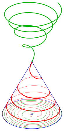 Floor projection: Fermat's spiral Spiral-cone-ferm-s.svg