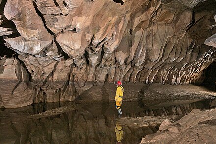Speleogens in a West Virginia cave