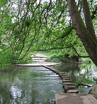 Box Hill (Surrey)