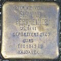 image=https://commons.wikimedia.org/wiki/File:Stolperstein_Sigmund_Bergheimer_Offenburg.jpg