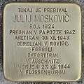 Kámen úrazu pro Julij Moskovic (Ljubljana) .jpg