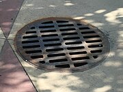 Common storm drain grate