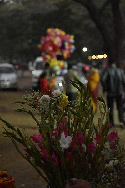 File:Street Hawkers selling Items in Dhaka University 30.jpg