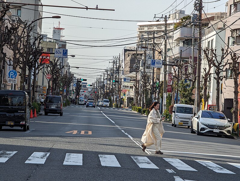 File:Street views in Meguro-ku 7.jpg