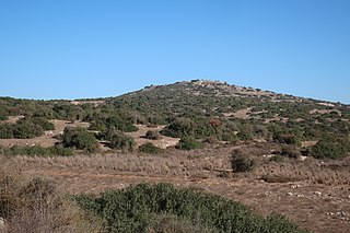 <span class="mw-page-title-main">Tell ej-Judeideh</span> Ancient archaeological site in the Shfelah