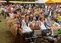 The “Pikkeling”, harvest scenes, field activities. 18