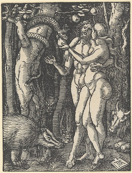 File:The Fall of Man, from The Small Passion MET DP215649.jpg