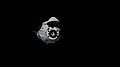 «Endeavour» i bane rundt jorden, fotografert fra Den internasjonale romstasjonen