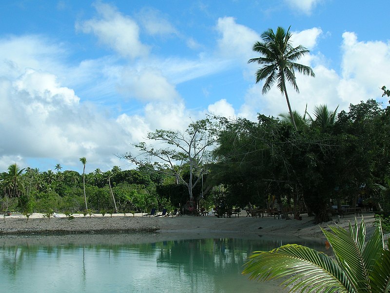 File:The mangroves (1) (8746400559).jpg