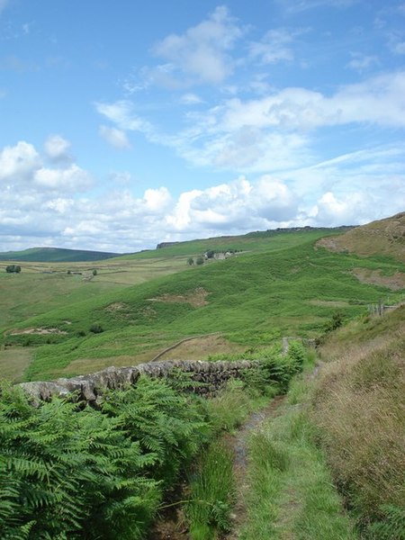 File:The track to Callow - geograph.org.uk - 1392408.jpg