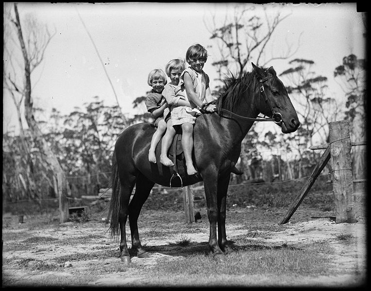File:Three children on a horse at Lake Conjola from The Powerhouse Museum.jpg