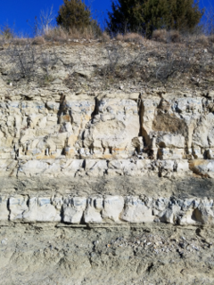 Wreford Limestone Geologic formation in Kansas, United States