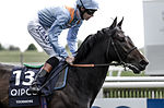 Thumbnail for Toormore