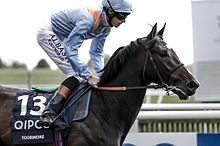 Toormore.jpg