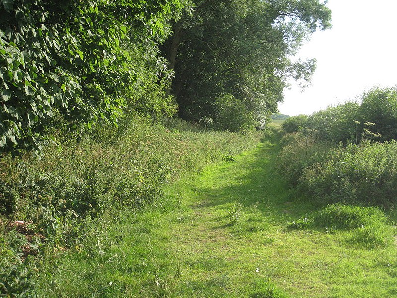 File:Track to Hazelford Ferry - geograph.org.uk - 2486501.jpg