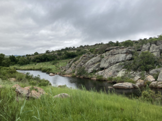 The Treur River in midsummer Treur River.png