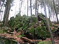 Ähnlich anderen Wildleuthäusl-Steinen sind auch die der Tromm mit der Sage verbunden, unter den Granitblöcken liege ein von wilden Männern bewachter Schatz verborgen.