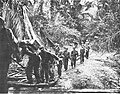 Tanahmerah Bay (New Guinea), Inland-jungle: Men of the 1st Battalion, 19th Infantry, carrying supplies forward (Operation Reckless, April 1944)