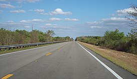 US 41 Große Zypresse.jpg