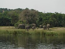 Nacionalni park Murchison Falls.