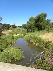 Uvas Creek Preserve-l.JPG