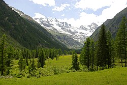 Panorama van de bovenste Valnontey, op de achtergrond de Grand Paradis.