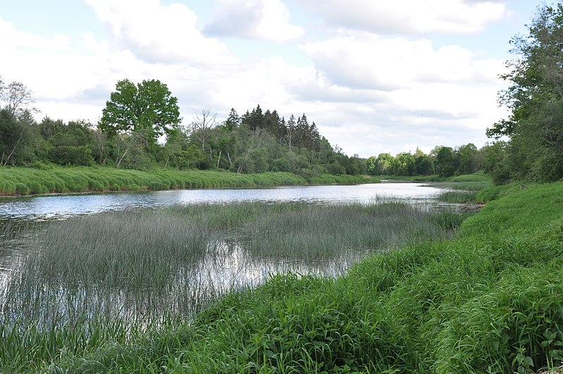 File:Venta, Nīkrāces pagasts, Skrundas novads, Latvia - panoramio (5).jpg