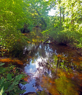 <span class="mw-page-title-main">Verkeerder Kill</span> Tributary of the Shawangunk Kill in New Yorks Hudson Valley