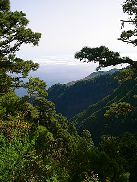 View of nord La Palma.jpg