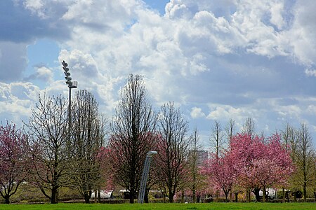 Villejuif parc des Hautes Bruyeres