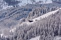* Nomination Snowy forest in Wagrain, federal state of Salzburg, Austria --Uoaei1 05:01, 16 February 2018 (UTC) * Promotion Good quality. -- Johann Jaritz 05:52, 16 February 2018 (UTC)