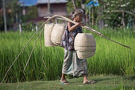 Tragjochtransport in Laos