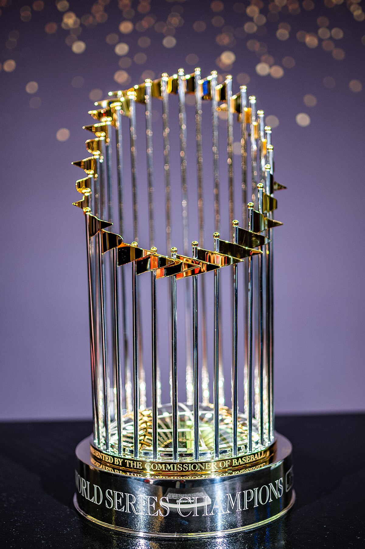 MLB 2022 World Series Champions Baseball