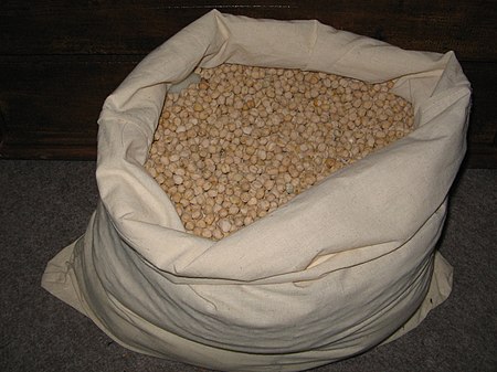 Kacang_kuda