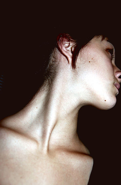 File:Young woman's neck.jpg