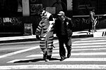 Thumbnail for La Paz traffic zebras